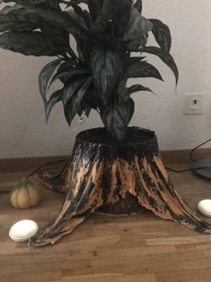 Ein selbst gebastelter Blumentopf aus Gips, in dem eine grüne Blume steckt.