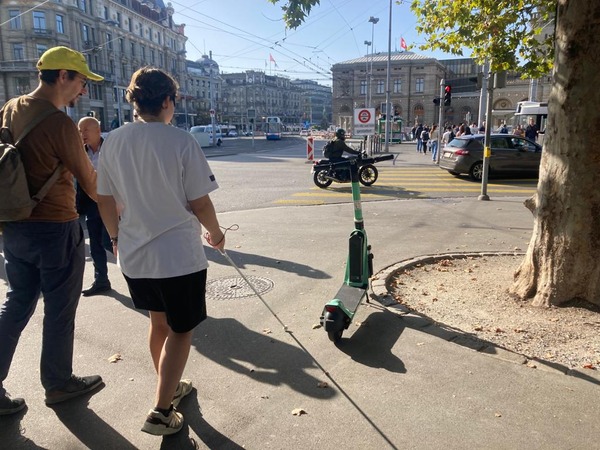 Tag des Weissen Stockes