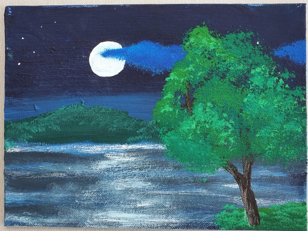 ruhige Nacht mit Vollmond