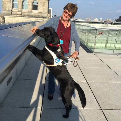 Bild von Helen Zimmermann Foto von Helen Zimmermann mit Führhund Aiko auf dem Dach des Bundestags-Gebäudes in Berlin. Aiko schaut interessiert über die Brüstung um sich einen Überblick über Berlin zu verschaffen.